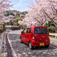 画像266