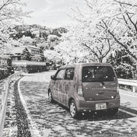 画像272